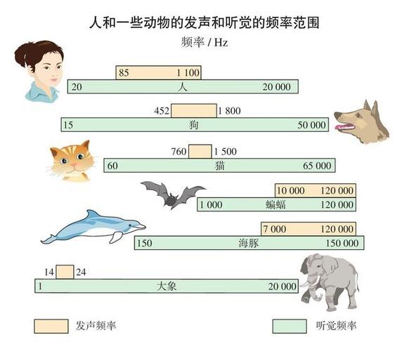 地震的预防宏观、地震的预防工作-第5张图片