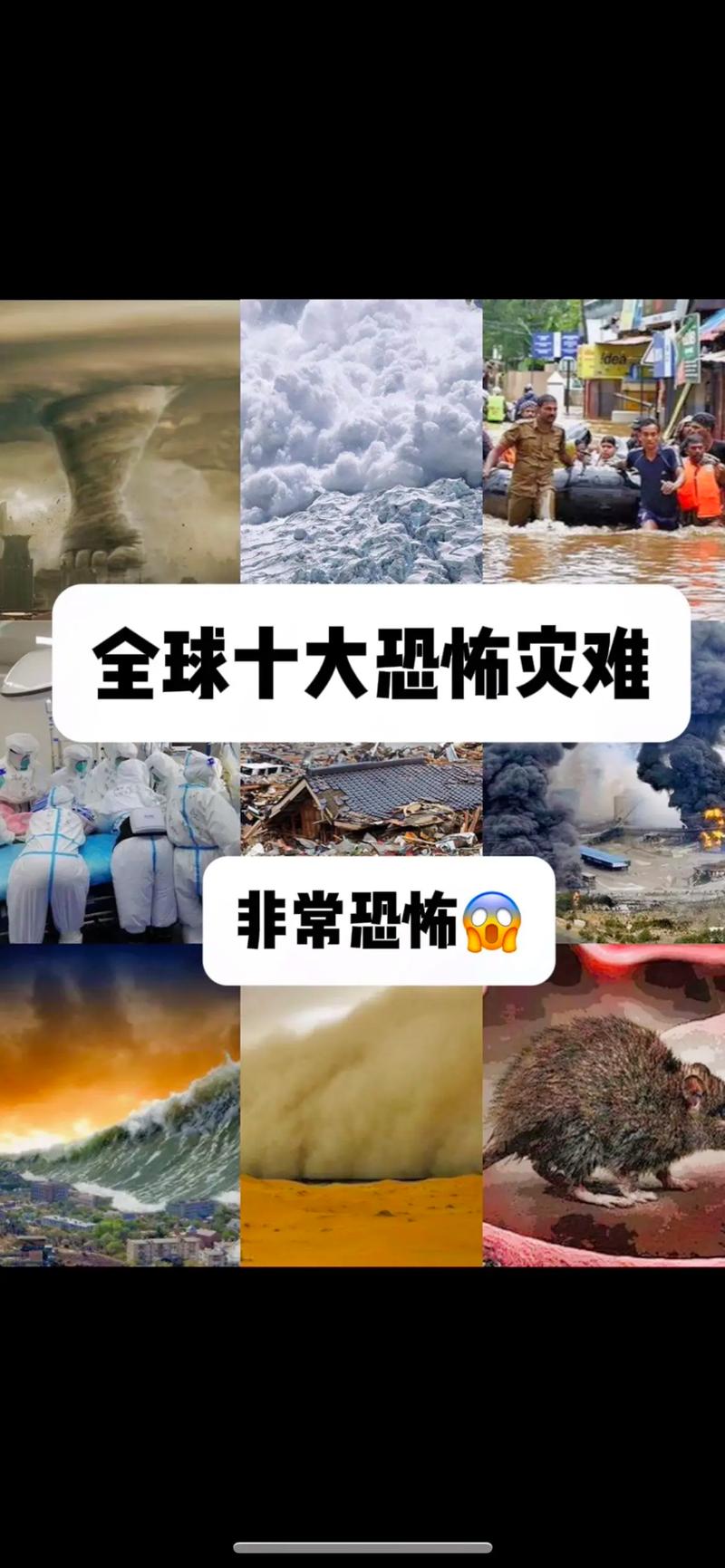 【大地震2016，大地震2018挪威电影】-第10张图片