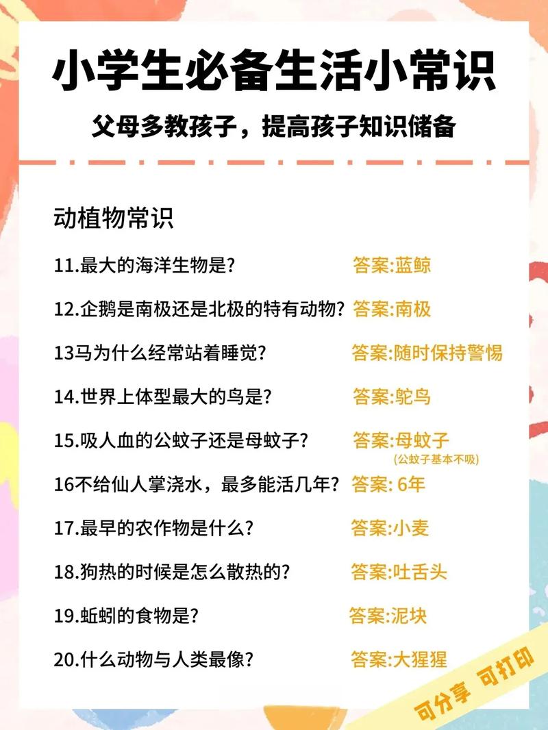 地震单兵救援装备(地震救援队装备配备标准)-第4张图片