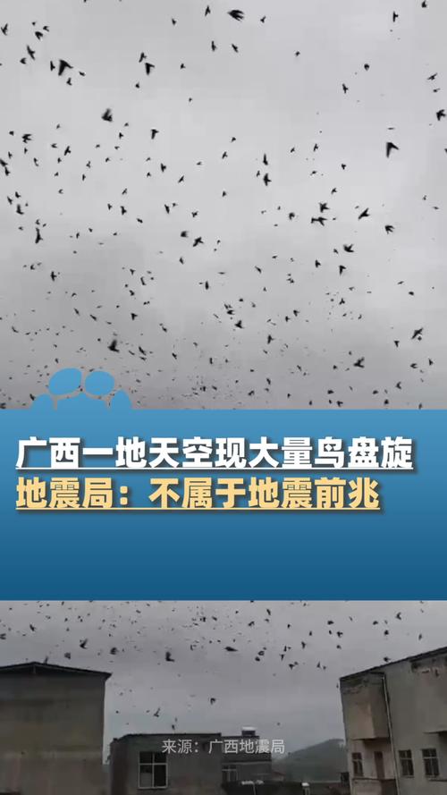 【10.13地震，10月13日哪里发生了地震】-第3张图片