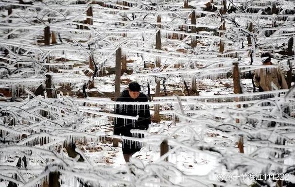 07年哈尔滨地震、哈尔滨地震带-第3张图片