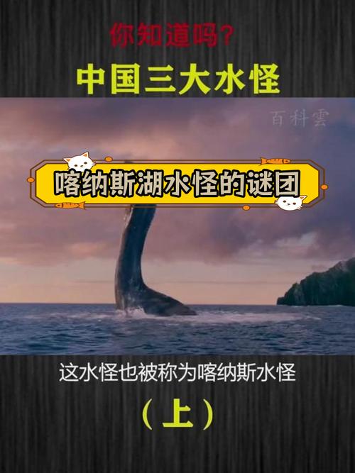 【2003年阿勒泰地震，阿勒泰地区地震局】-第3张图片