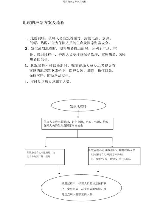 地震办地震应急预案、地震应急预案流程图-第3张图片