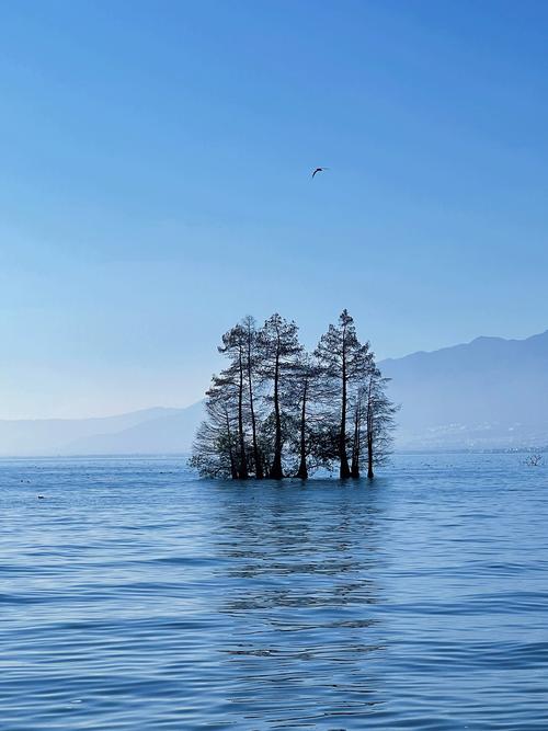 大理洱海地震吗(洱海是地震形成的吗)-第5张图片