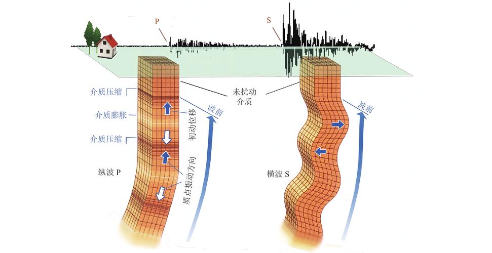 【地震产生横波纵波，地震横波纵波示意图】