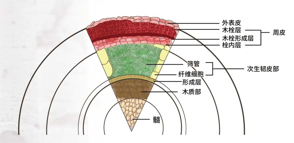 出现地震薄弱层(地震薄层概念)-第5张图片